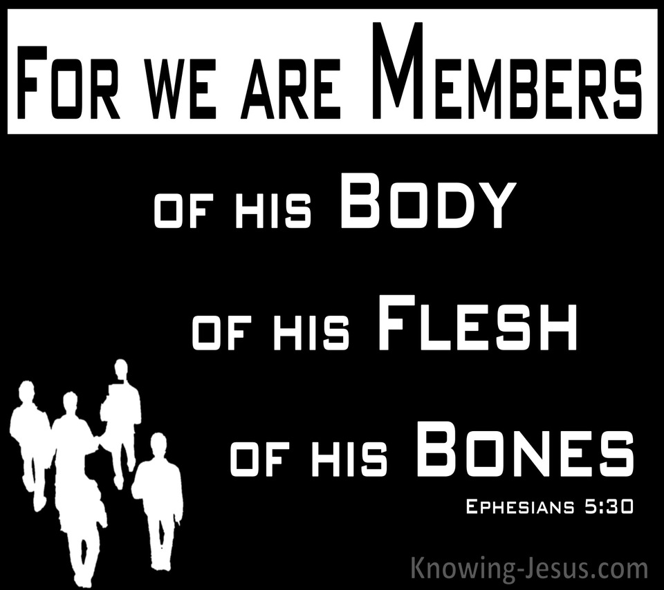 Ephesians 5:30 Members Of His Body And His Bones (black)